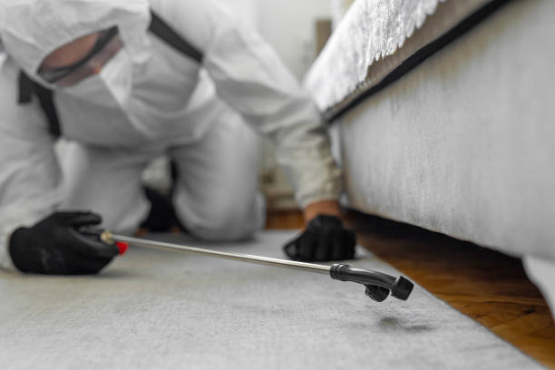 Professional Bed Bug Control technician working in Buhl, MN